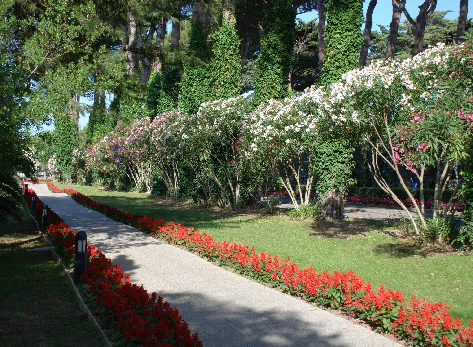 Park Marinetta - & Hotel Marina Di Bibbona